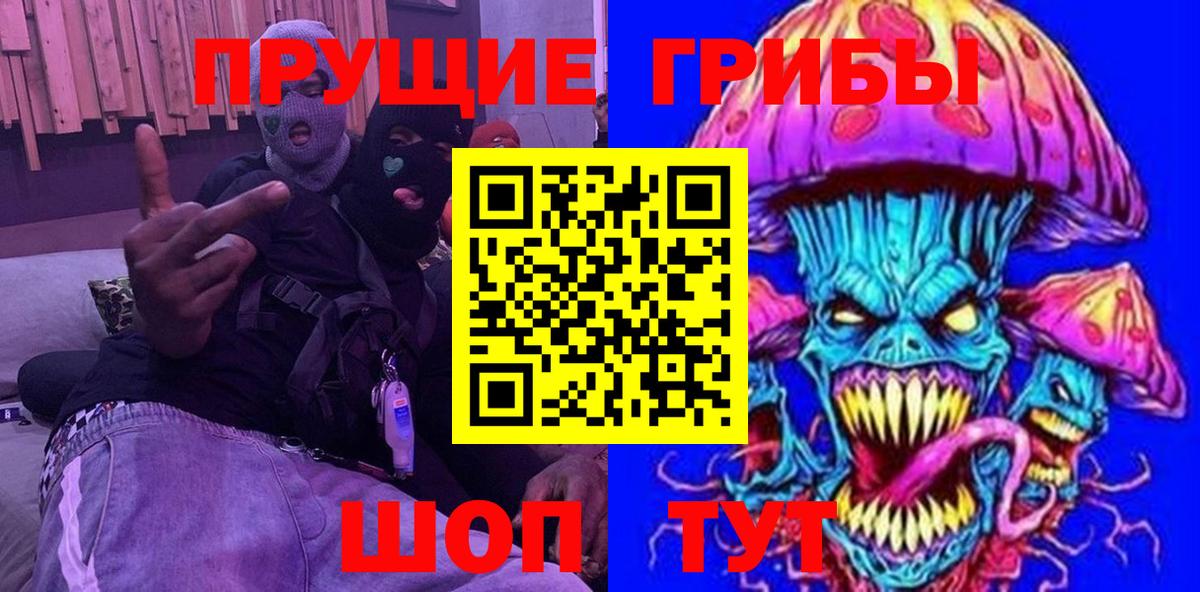 Курчалой  Галлюциногенные грибы Psilocybe  Вход с VPN 