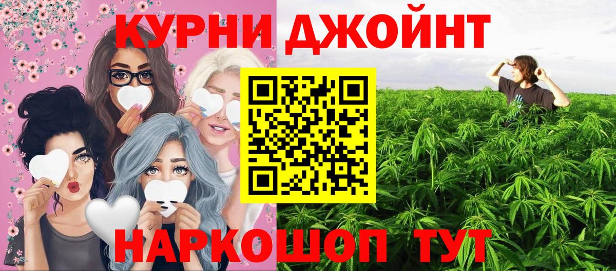 Каннабис ГИДРОПОН Курчалой